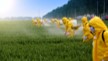Agrochemicals